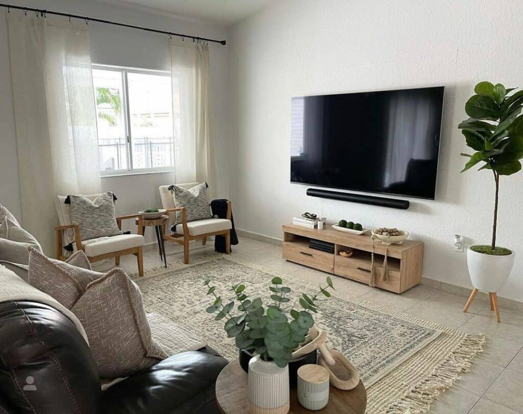 Layered Rugs in Living Room With Potted Plants