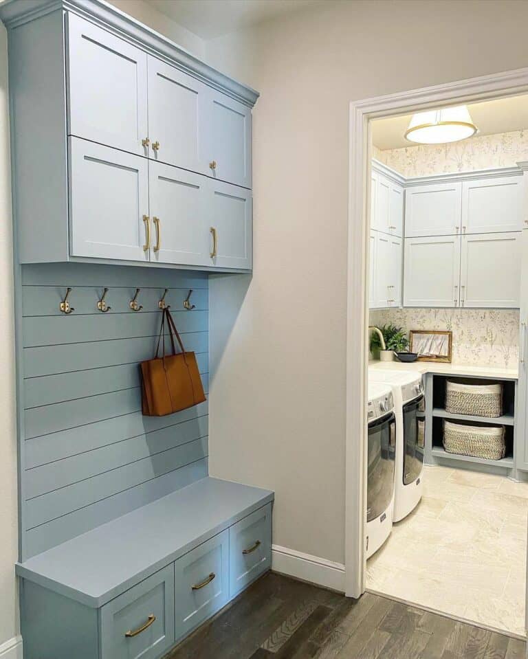 Light Blue Cabinets and a Green Plant