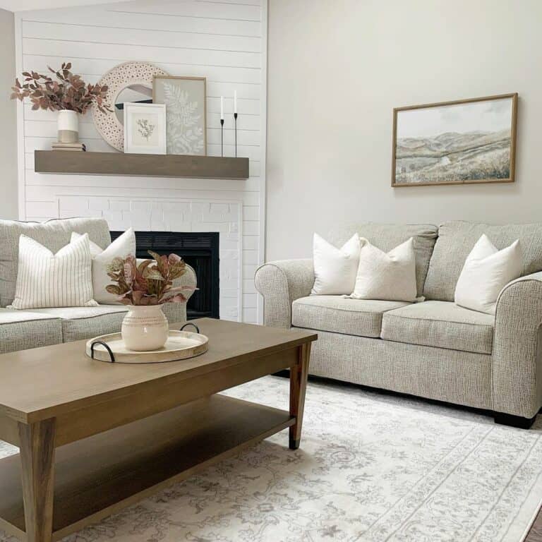 Light Neutral Living Room Ideas