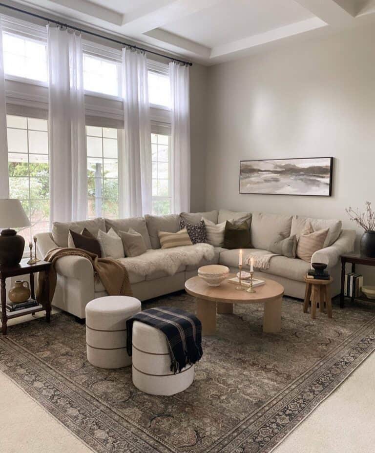 Living Room Ideas With a Grey and White Color Palette