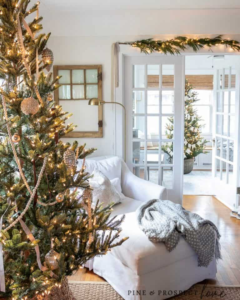 Living Room With Christmas Tree Centerpiece