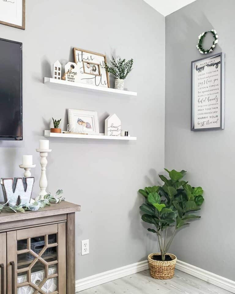 Living Room With Plant Shelf Feature Wall