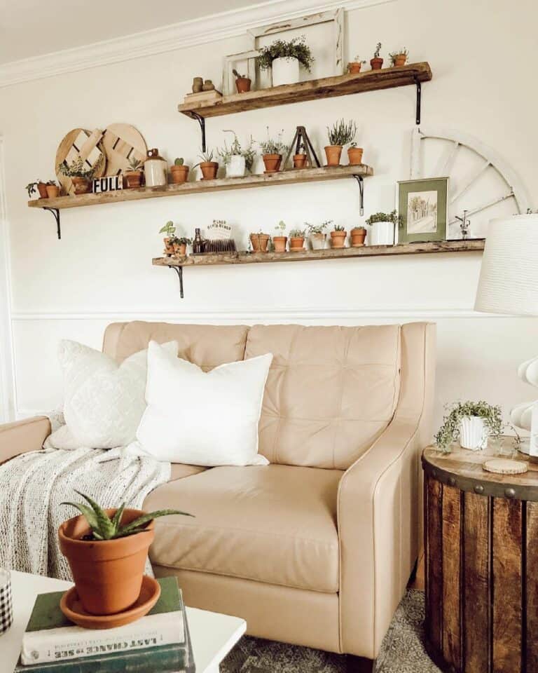 Living Room With Rustic Plant Shelves