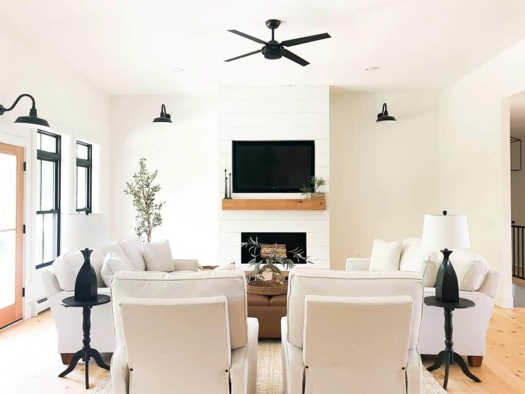 Modern Black and White Living Room