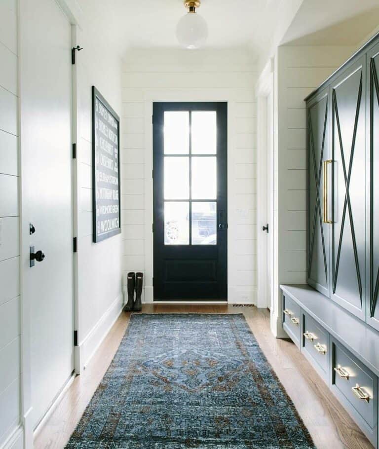 Modern Entryway With Navy-patterned Rug
