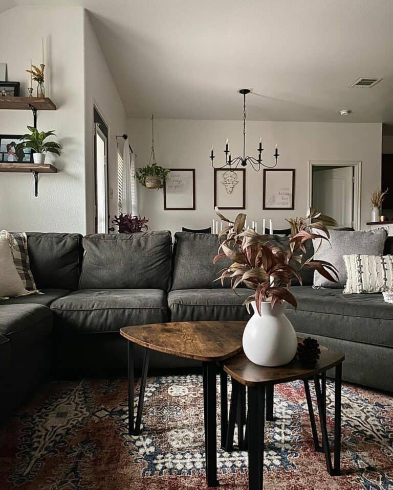 Modern Living Room With Farmhouse Aesthetics