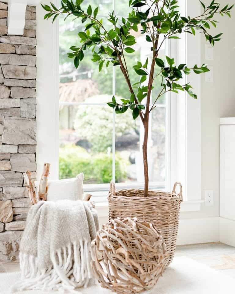 Natural Textures and Neutral Palette