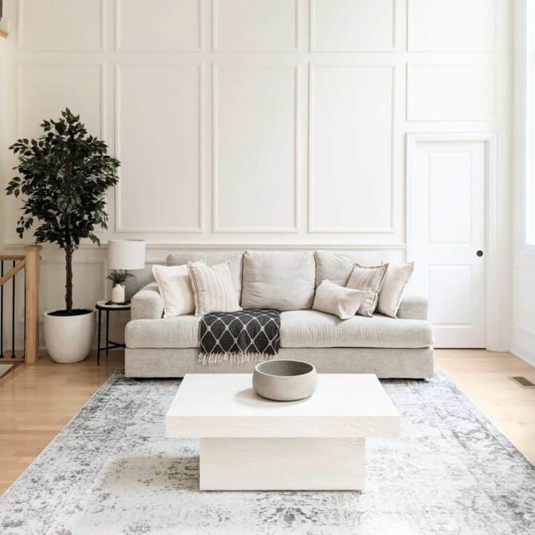 Pale Grey and White Living Room Décor Ideas