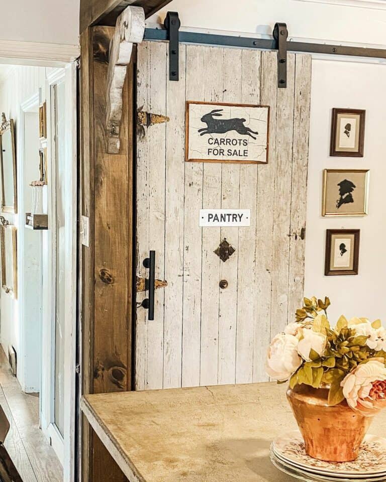 Rustic Beige Wood Barn Door for Pantry
