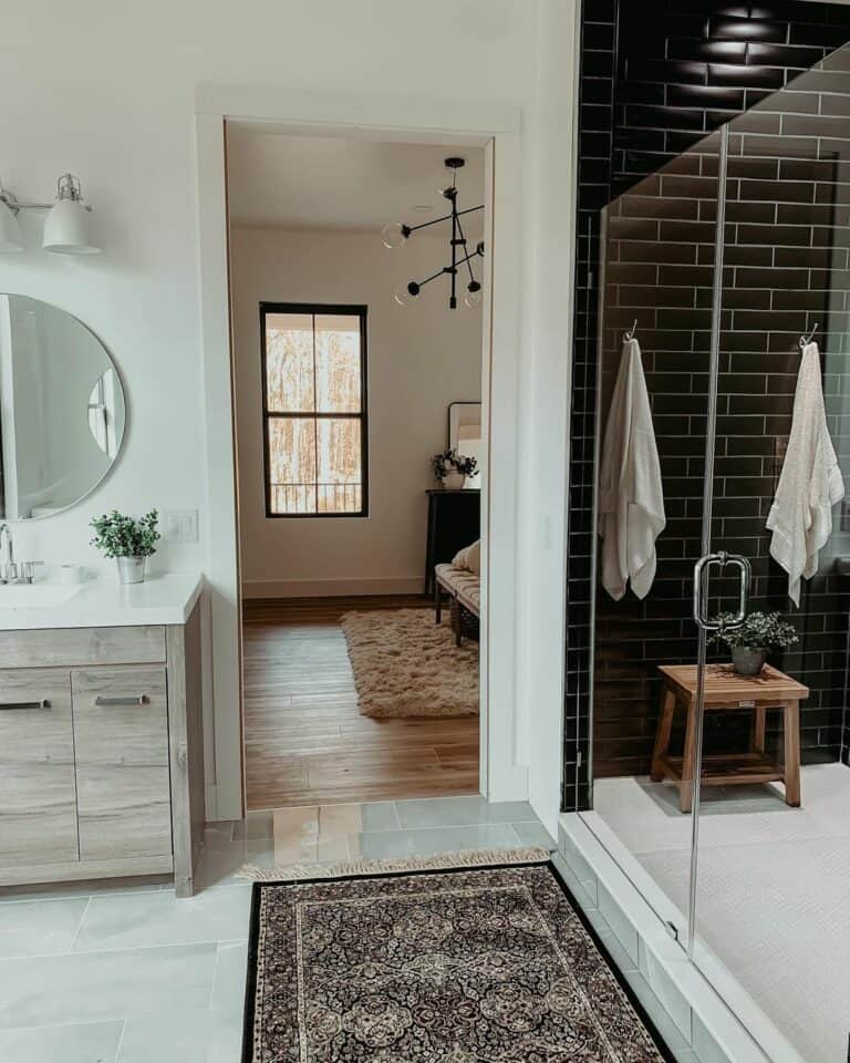 Shower Room Idea With Elegant Black and White Interiors