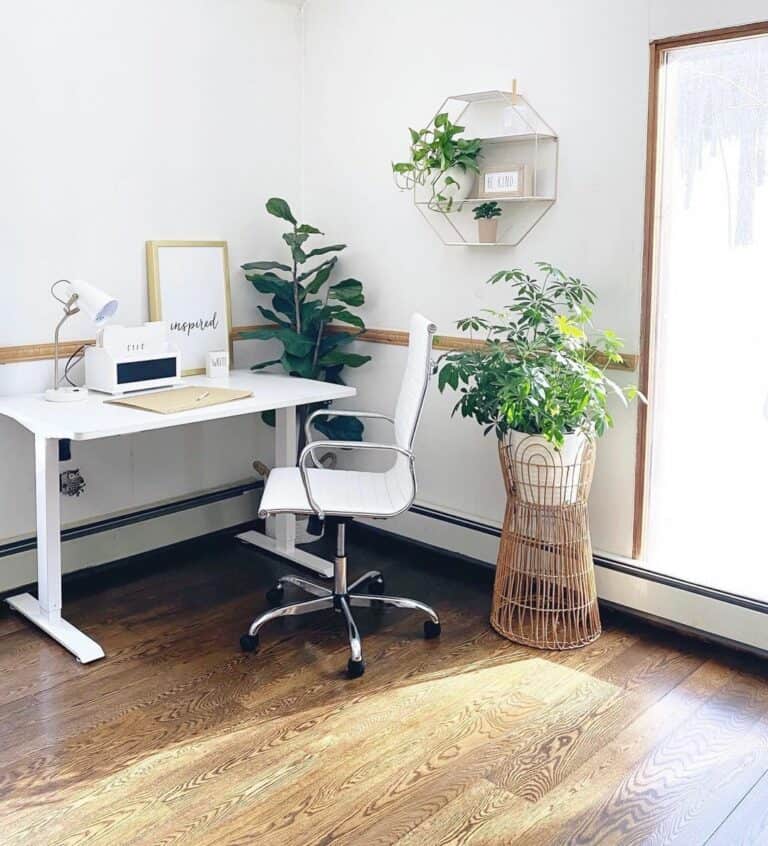 Simple Modern Office Filled With Plants