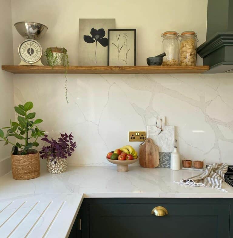 Single Kitchen Shelf Inspiration