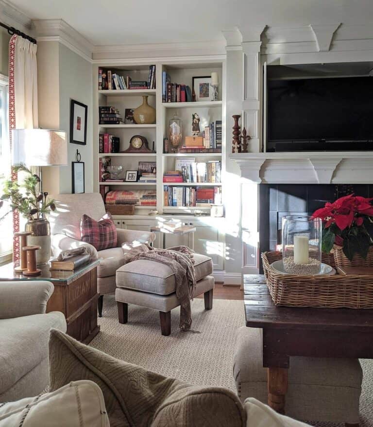 Small Traditional and Cozy Living Room