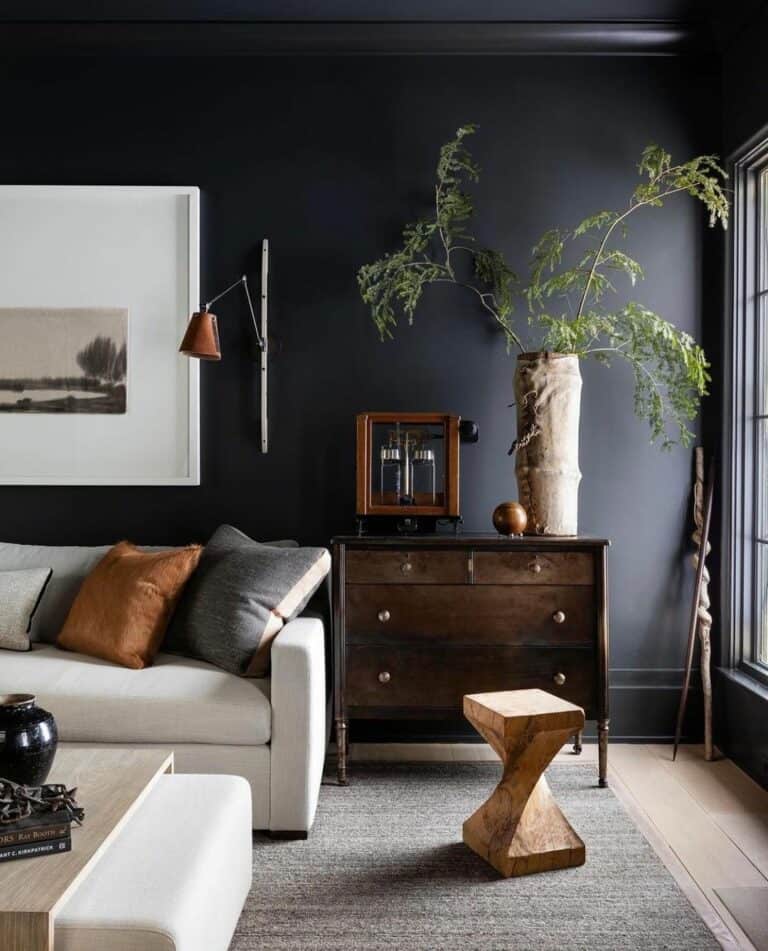 Sophisticated Modern Black Living Room Ideas