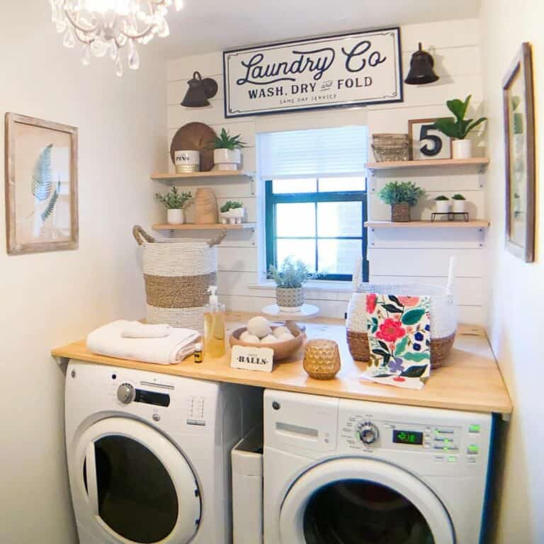 Storage Caddy and Countertop Ideas for a Washer and Dryer