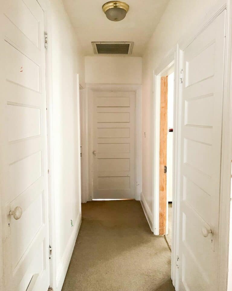 Antique Doors Paired With Taupe Carpet
