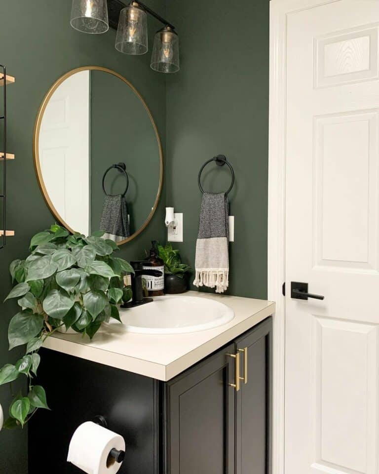 Bathroom Vanity With Sherwin Williams Tricorn Black