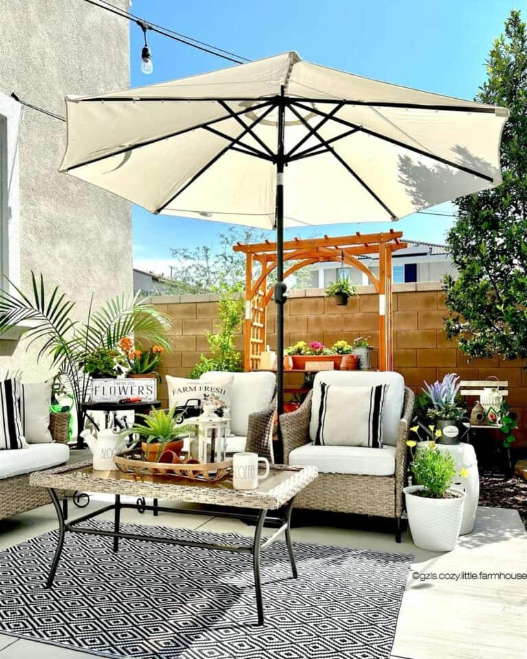 Black and White Furniture and Patio Décor