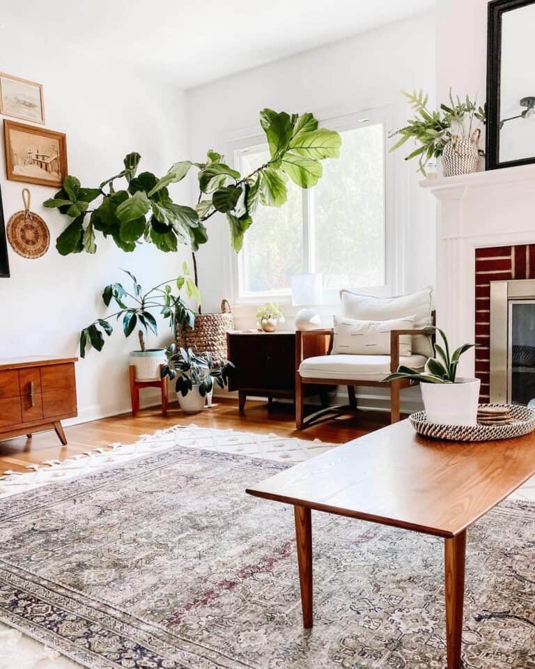 Botanical Boho-inspired Living Room Design