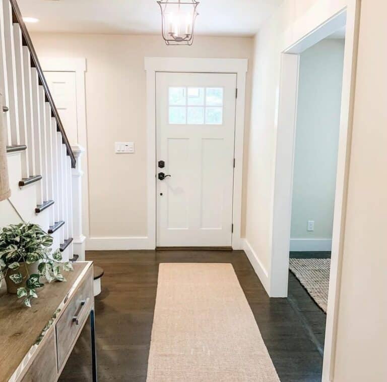 Bright Entryway With Dark Floors