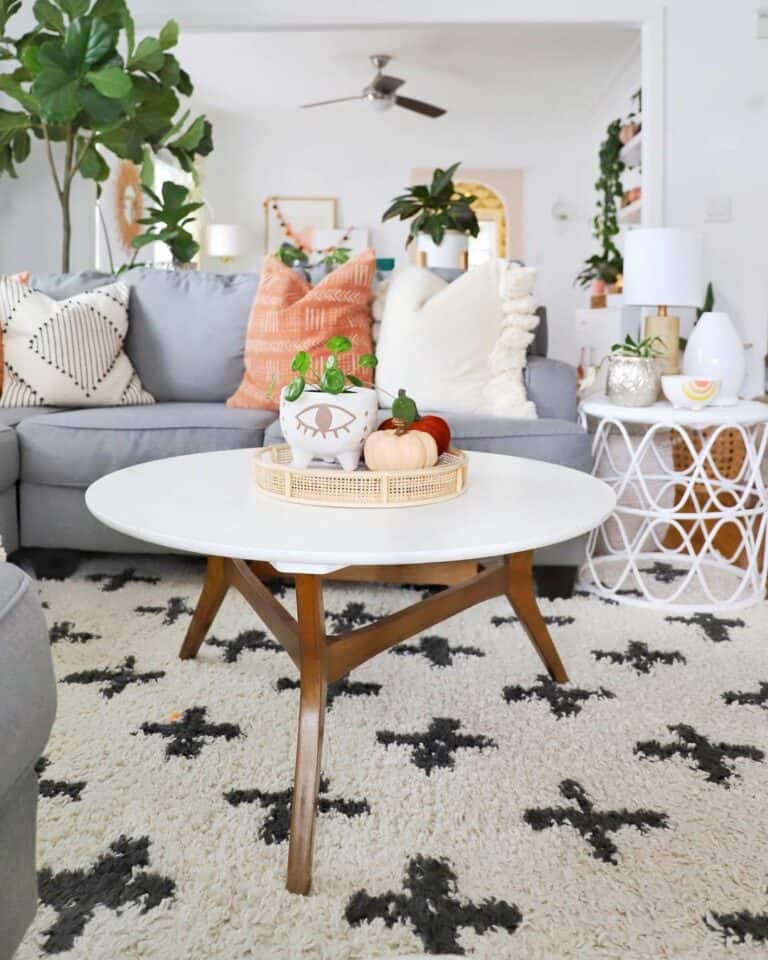 Bright and Cozy Living Room