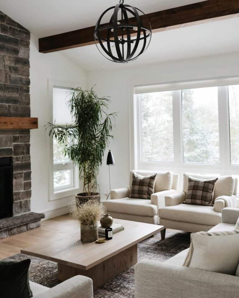 Brown and Black Décor for Contemporary Living Room