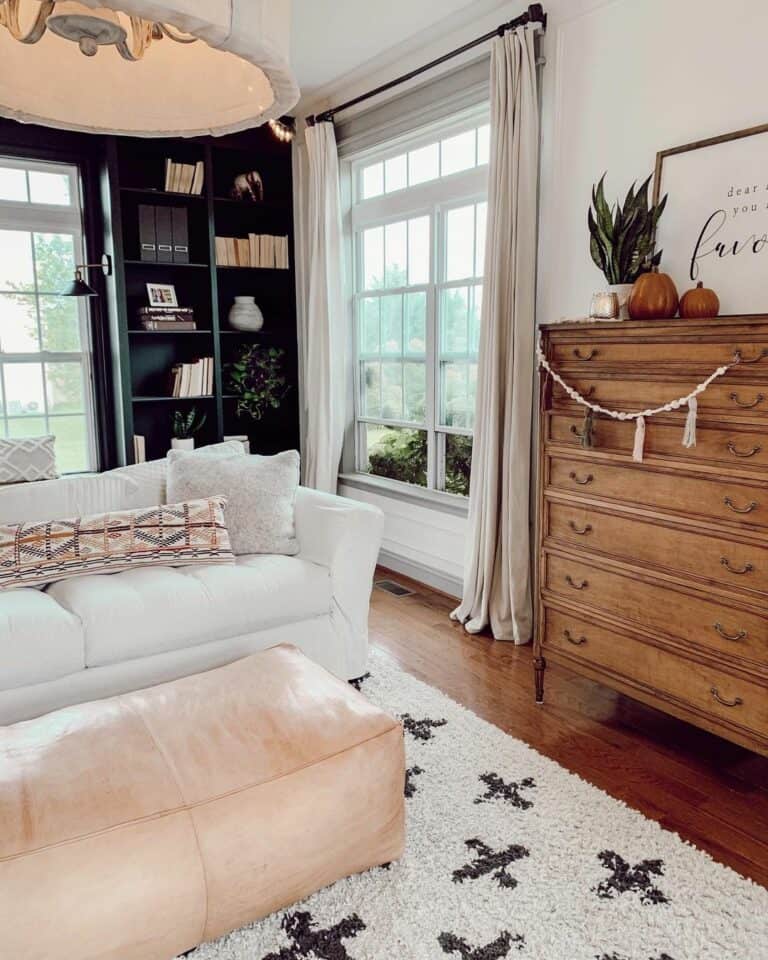 Brown and Black Living Room Book Storage Ideas