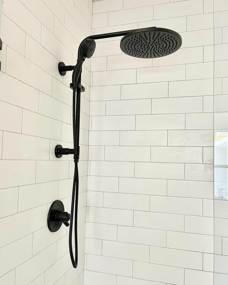 Classic Modern Shower Idea