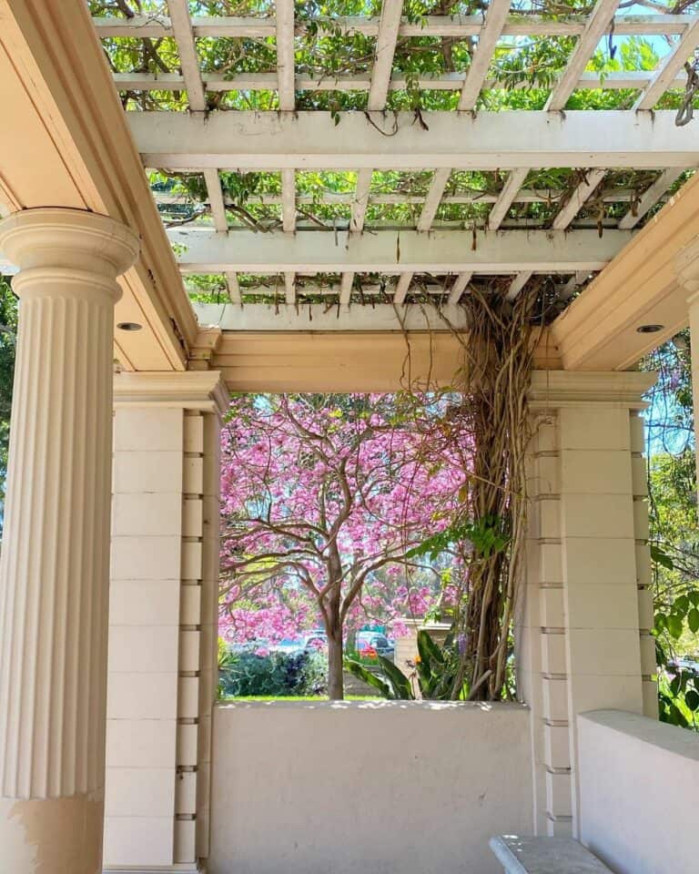 Classy Beige Pergola With Ivy