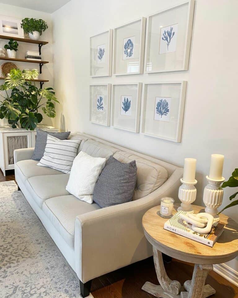 Coastal Living Room With Gray Couch