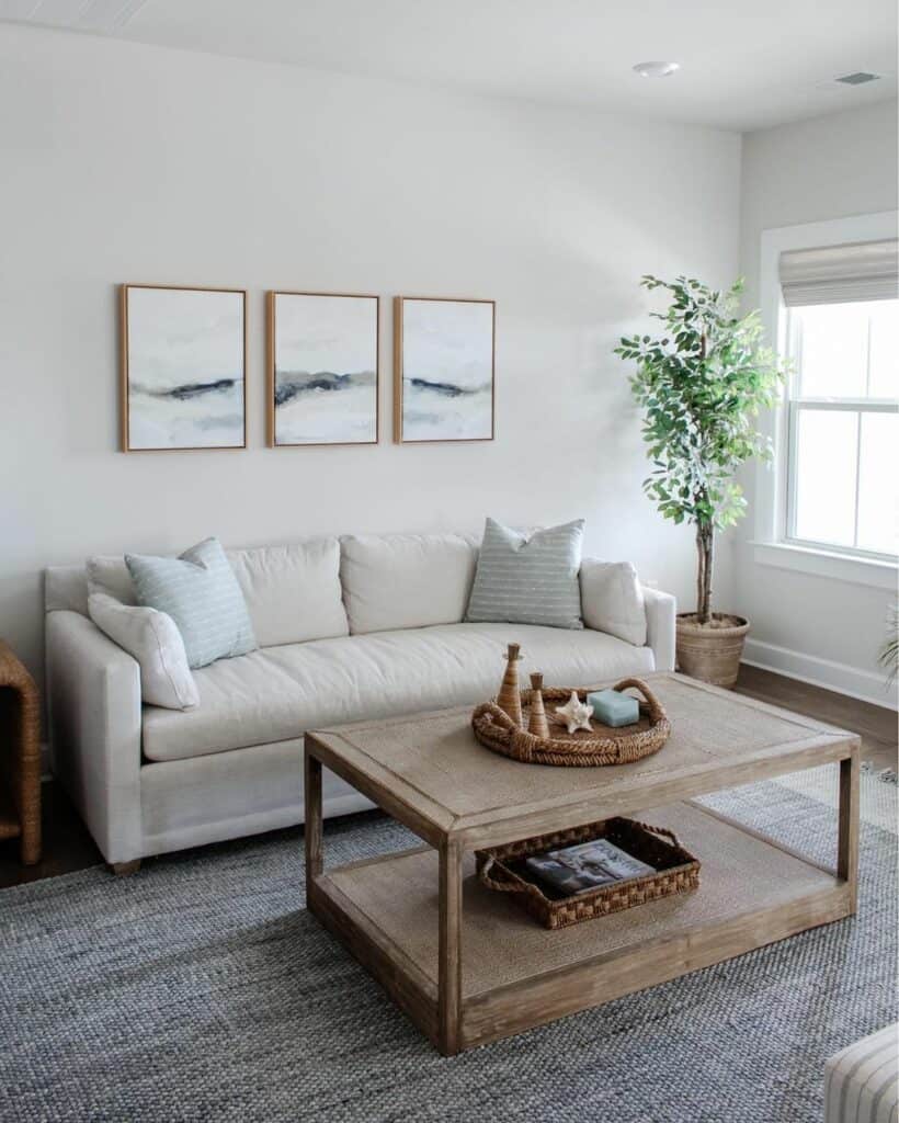 Coastal Living Room With Wooden Coffee Table