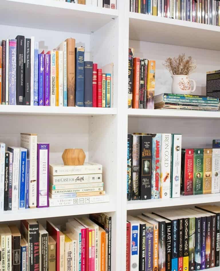 Colorful Bookshelf Organization Inspiration