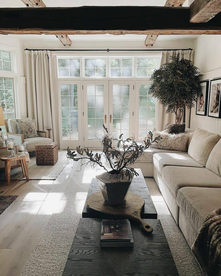 Contemporary Décor in Moody Living Room