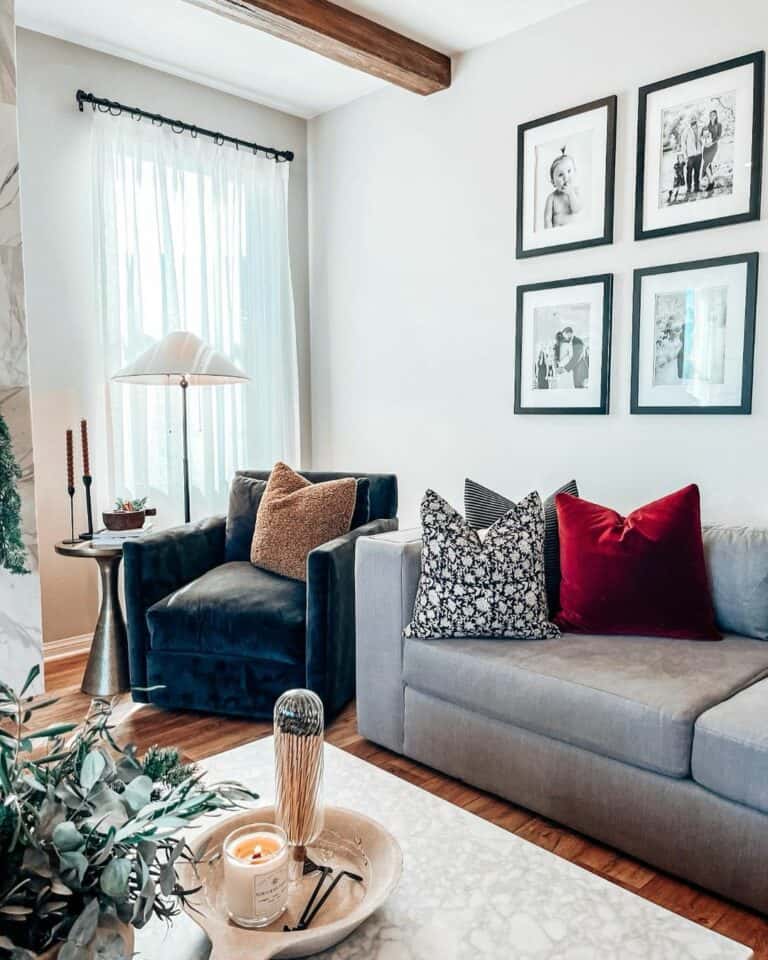 Contemporary Living Room Ideas