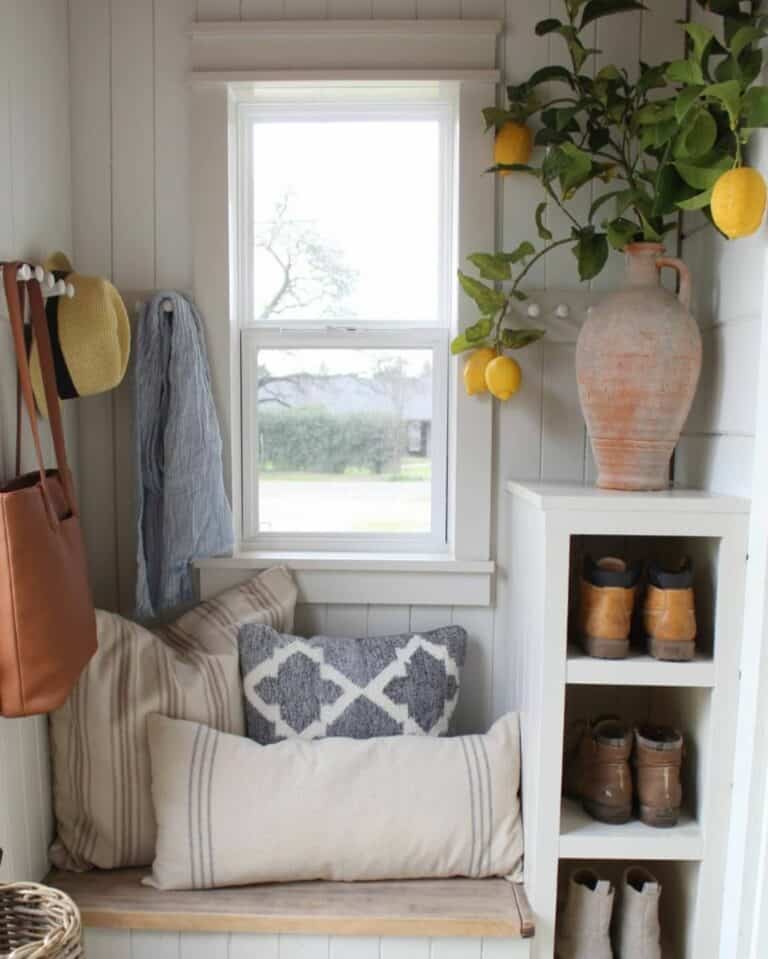 Cottage-inspired Mudroom With Lemon Tree