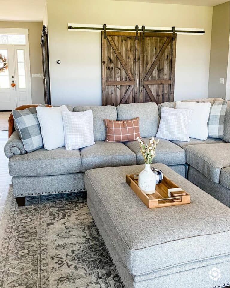 Cute Gray Farmhouse Living Room