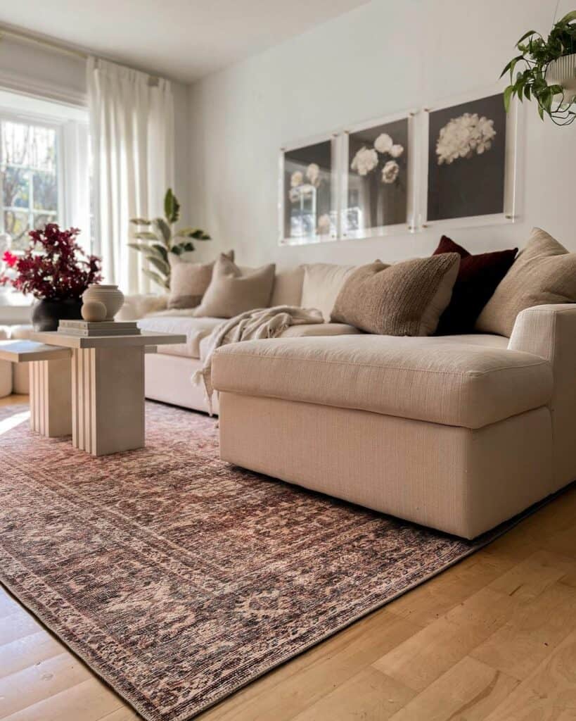 Cute Living Room With Deep Burgundy Colors