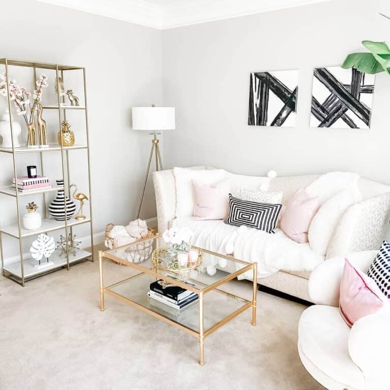 Cute Pink and White Living Room With Modern Accent