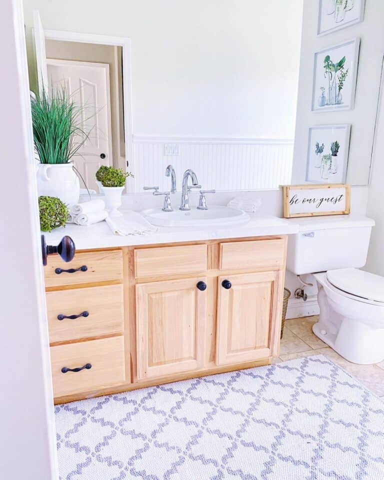 Farmhouse Bathroom With Potted Greenery