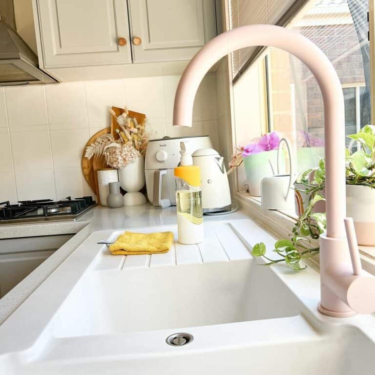 Farmhouse Kitchen Sink Countertop With Potted Greenery