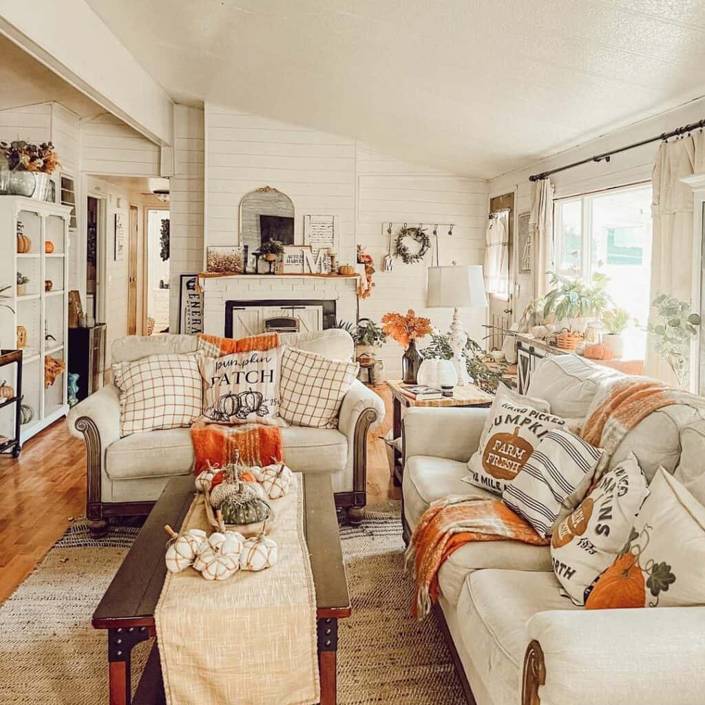 Farmhouse Orange Living Room Ideas