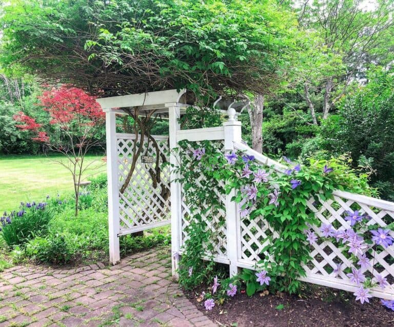 Garden Décor Ideas for a Lattice Fence