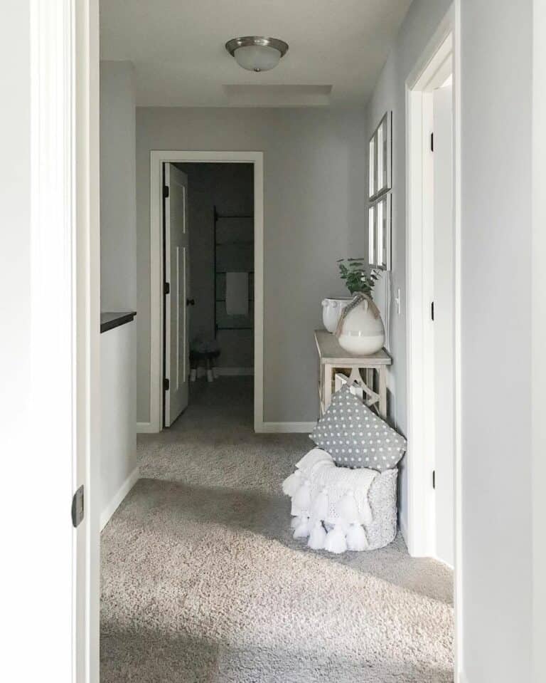 Gray Walls and Beige Carpet