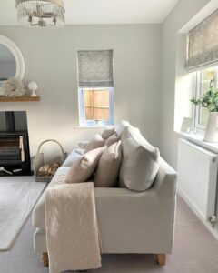 Gray and White Living Room Ideas