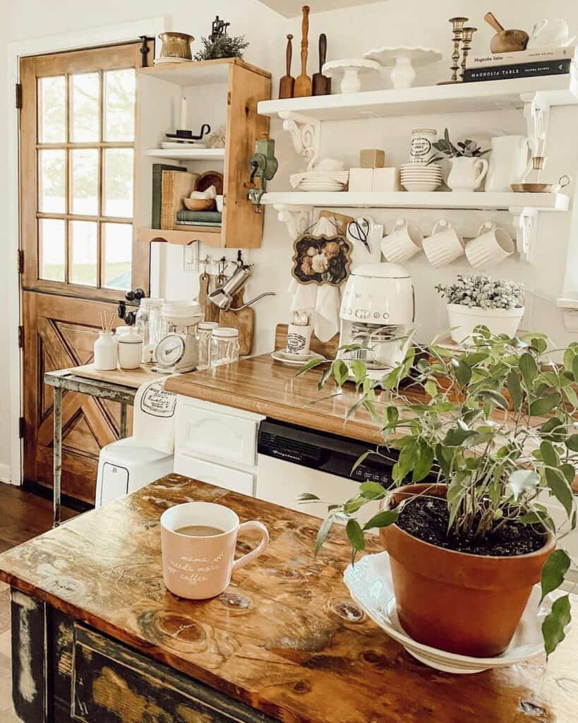 Green Plant and White Mugs