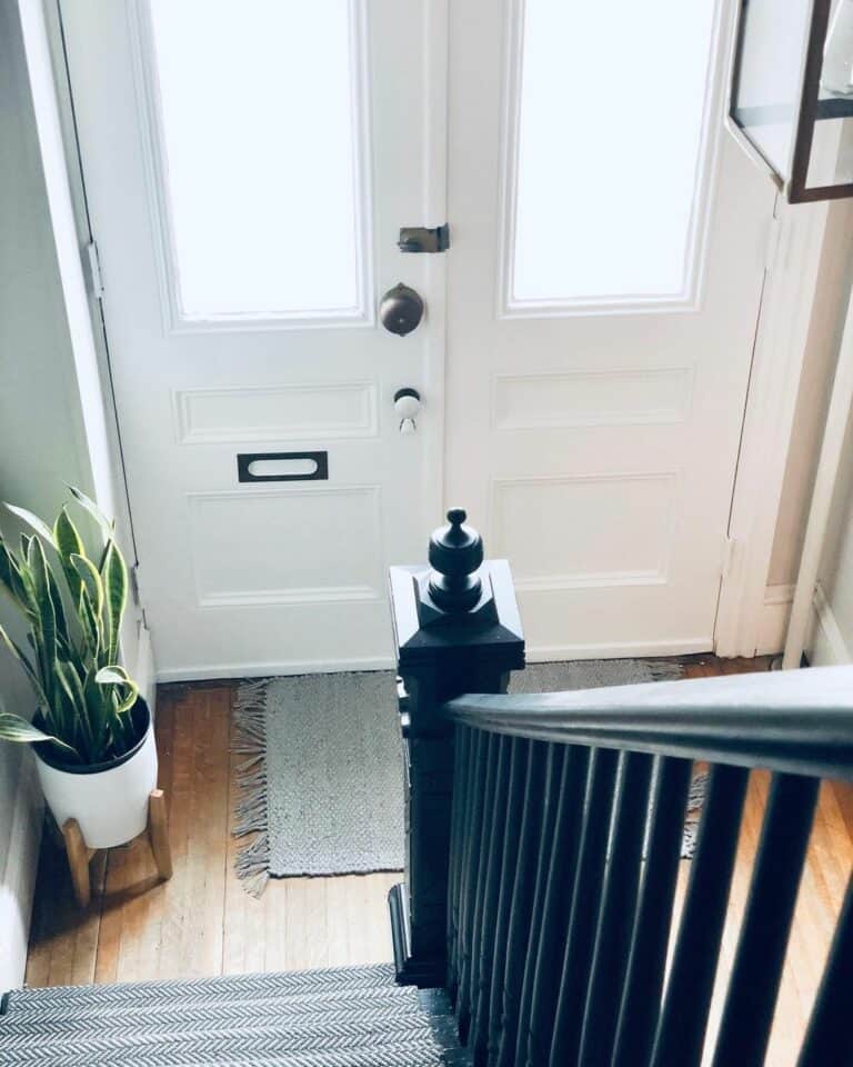 Green Plant in Black