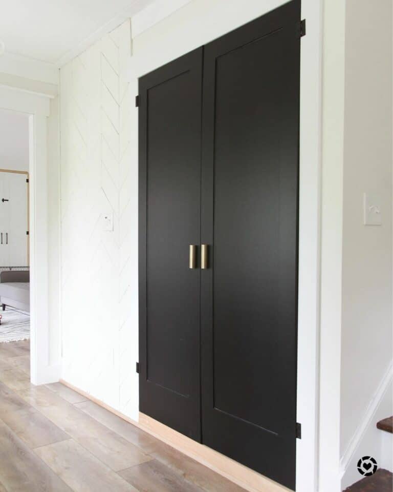 Hallway With Matte Black Built-in Cabinet