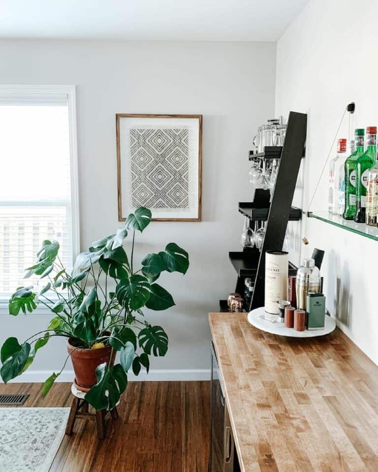 Indoor Plant Inspiration for Modern Lounge