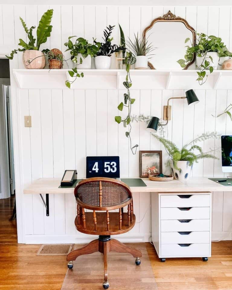 Indoor Plants for Desk Décor