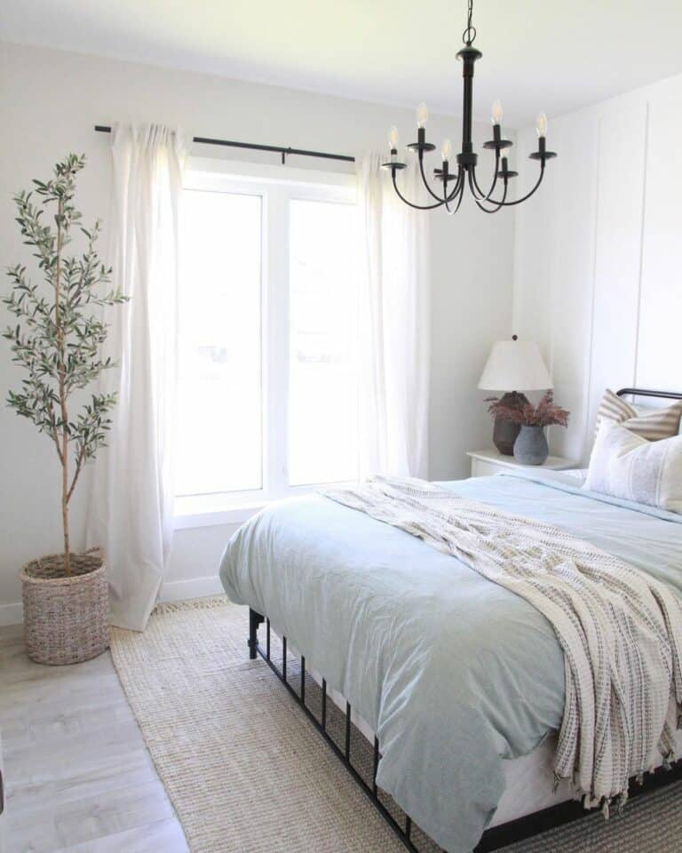 Light Blue Duvet and a Tall Tree